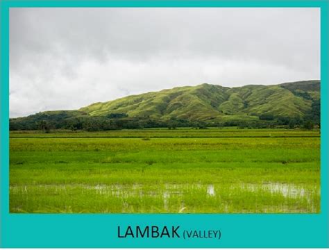 lambak in english|LAMBAK Meaning in English .